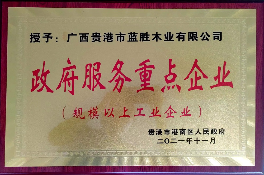 2021政府服務(wù)重點(diǎn)企業(yè)